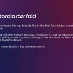 mwtwrwla ryzr fwld 17576c6259